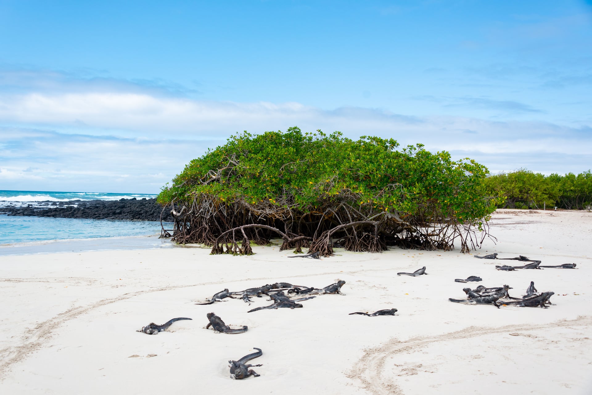 6-DAY GALÁPAGOS ISLANDS TOUR ITINERARY - Photo 4