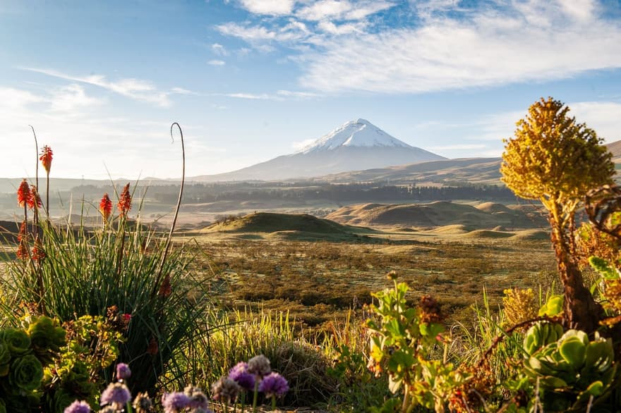 Cotopaxi - Andes
