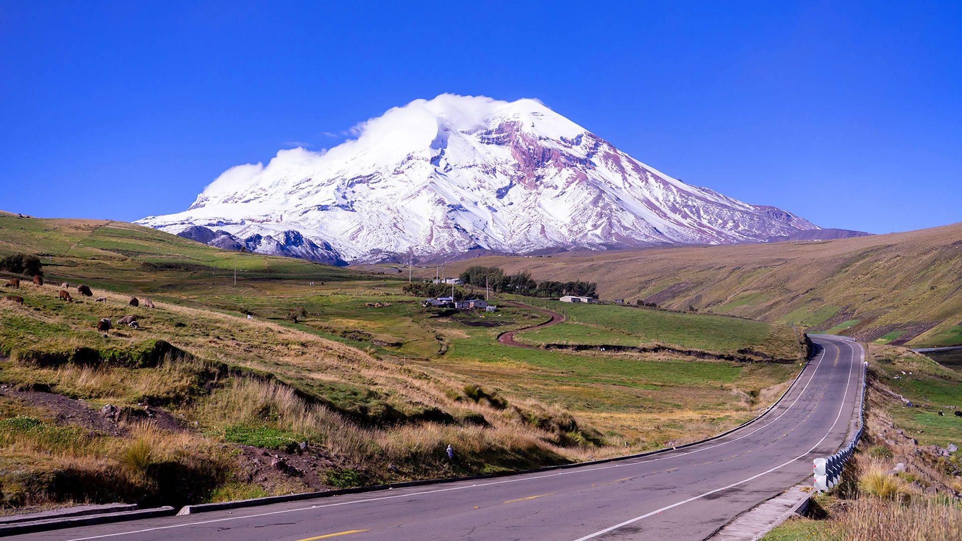 Cotopaxi - Andes