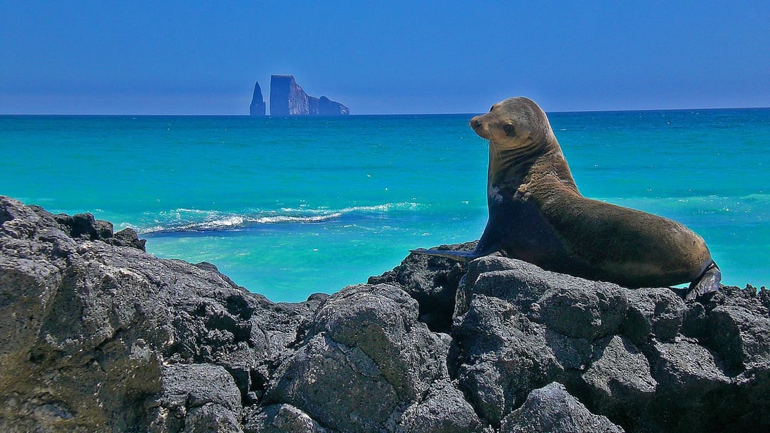 GALÁPAGOS ISLANDS – 4-DAY ITINERARY - Photo 5