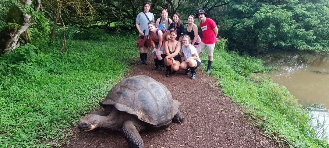 Galapagos - Santa Cruz