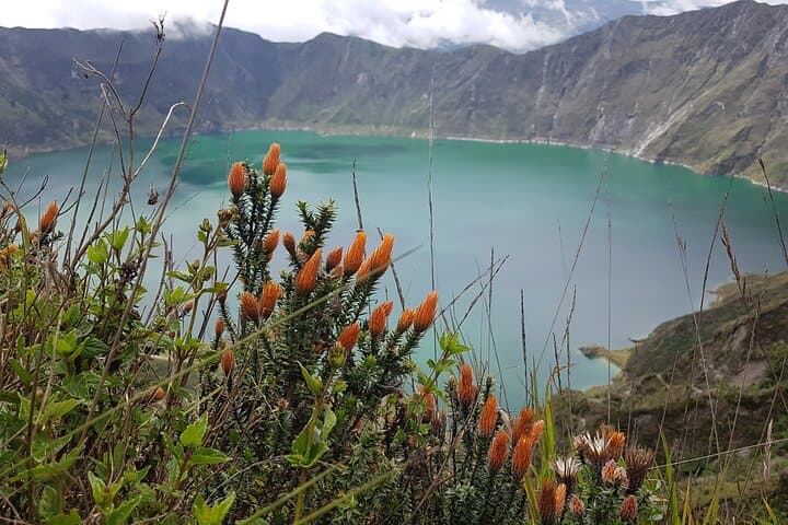 QUILOTOA CRATER LAKE, TIGUA & CUY FARM