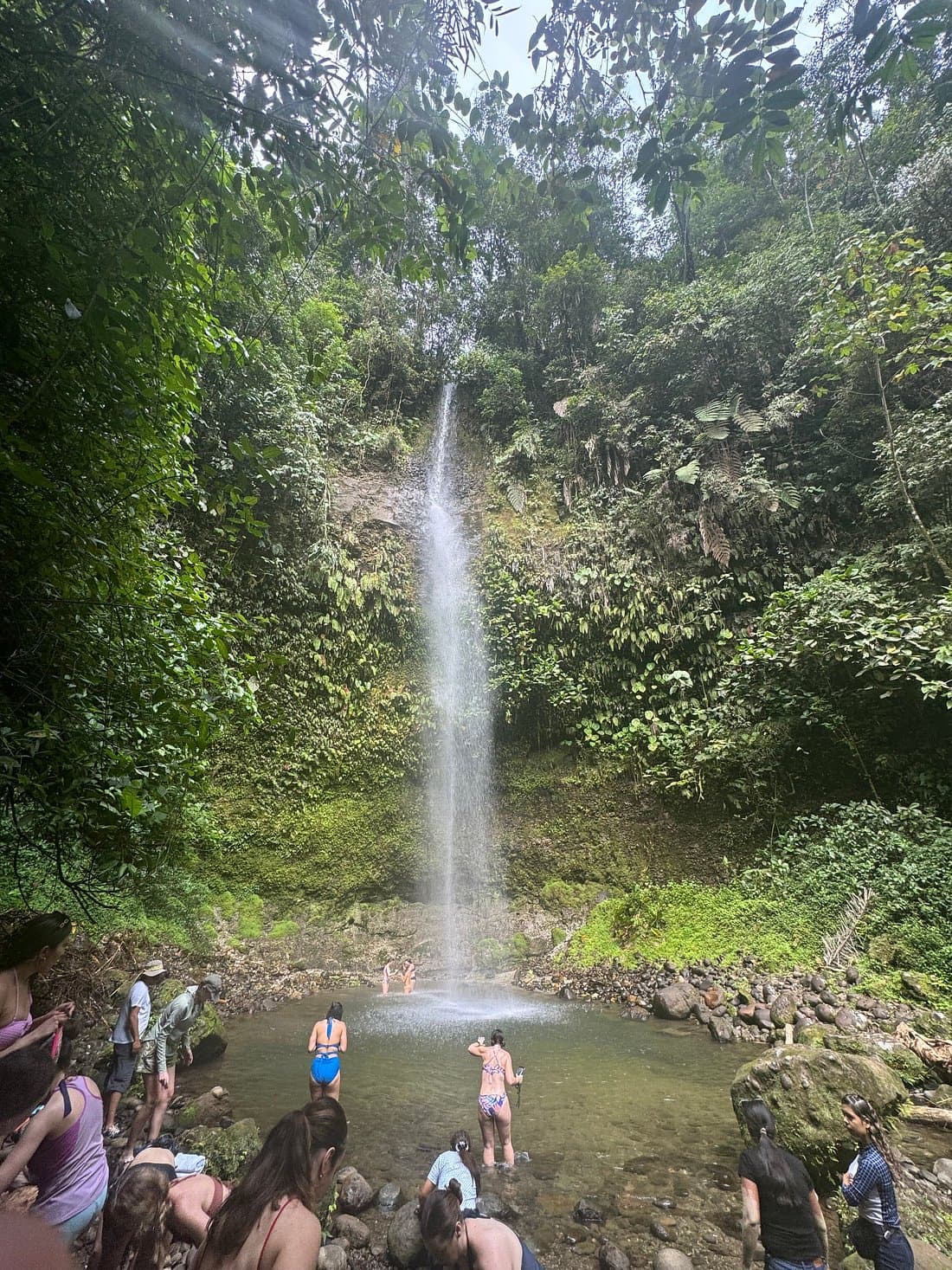MINDO CLOUD FOREST & ADVENTURE