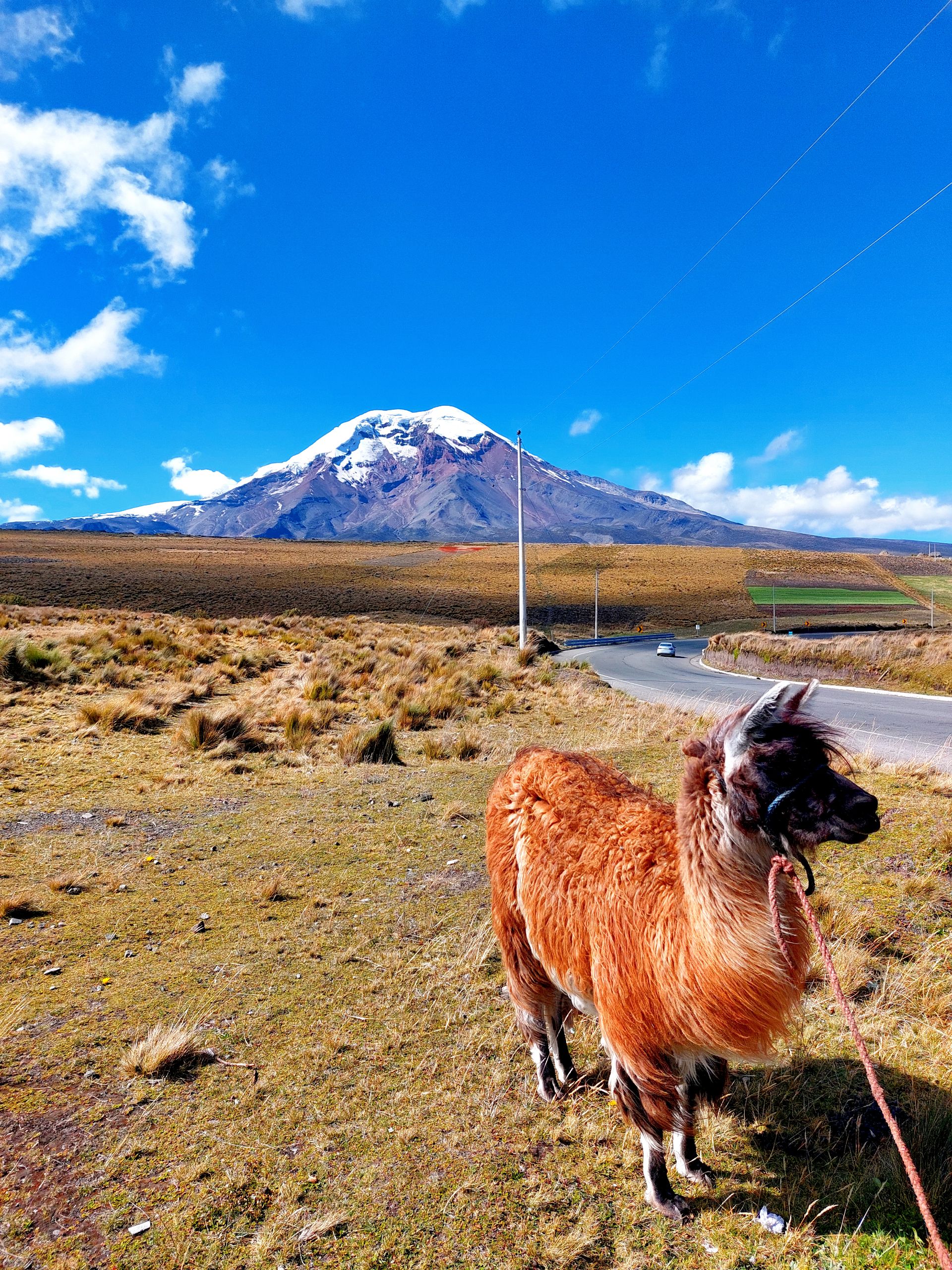 Chimborazo - Andes