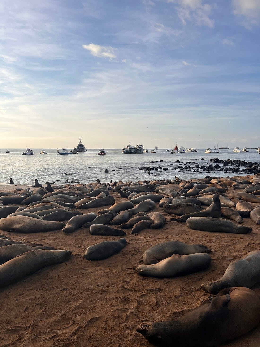 Galápagos Islands