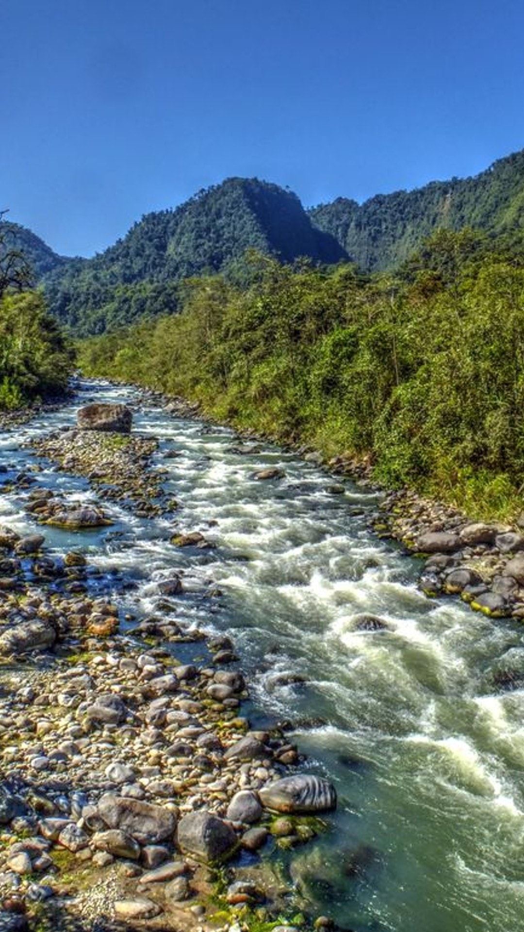 MINDO CLOUD FOREST, WATERFALLS & CHOCOLATE