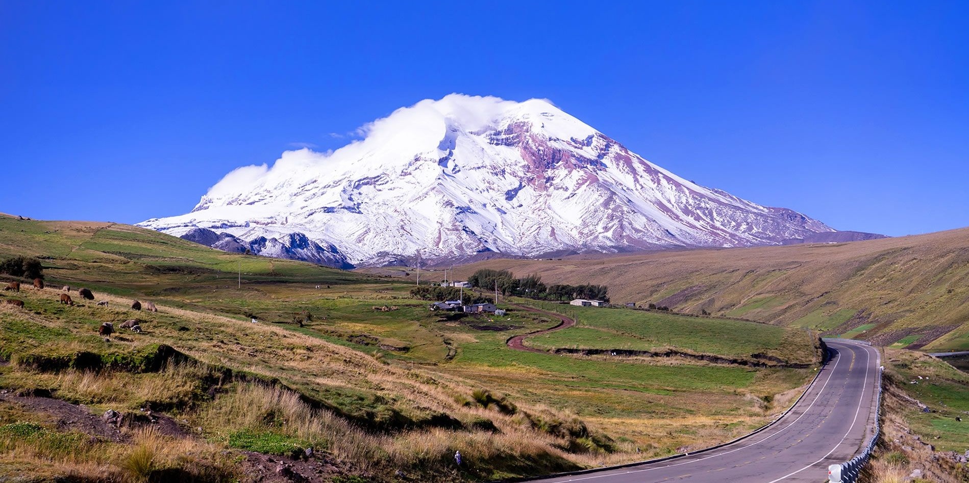 Chimborazo - Andes
