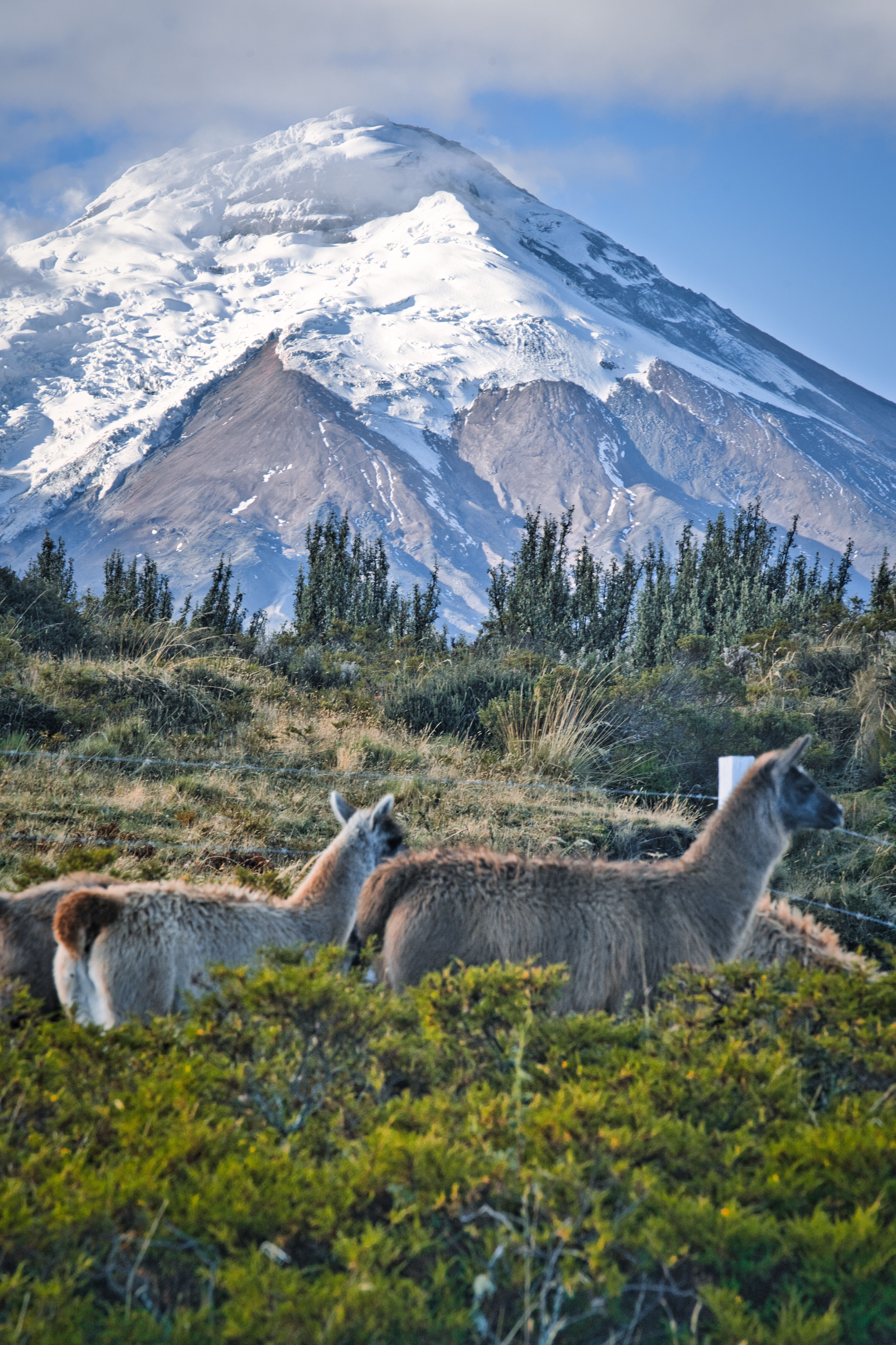 ECUADOR: VOLCANES Y RÍOS
