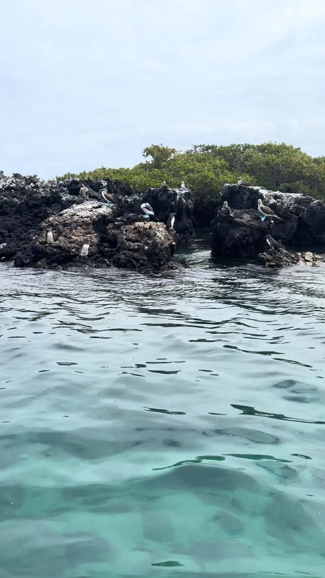 Galápagos Islands