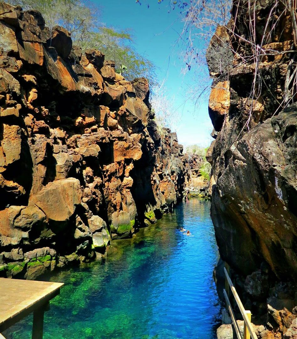 Galapagos - Puerto Ayora